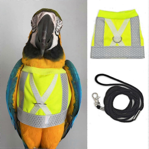 Reflective bird harness and leash set for flight training
