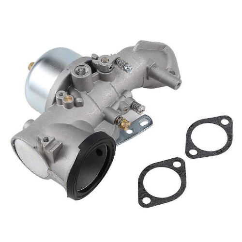 Carburetor for Briggs & Stratton with gaskets 252702 252707