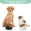 Raised Pet Bowl Phoesky Ανοξείδωτο Ατσάλι Βάση Μελαμίνης 4