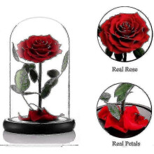 (Red) Preserved Real Rose Eternal Rose In Glass Dome Gift For Her Thanksgiving Christmas Valentine's Day Birthday Mother's Day (red)bebetter