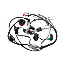 Full Wiring Harness for Motorcycle ATV Pit Bike 50 70 90 110 125cc