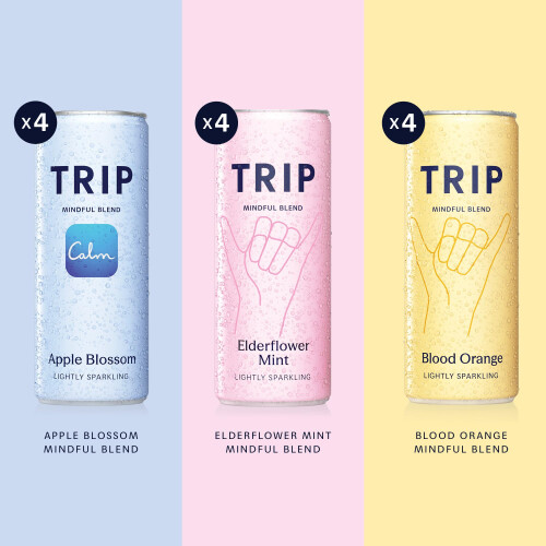 TRIP Mixed Pack Sparkling Drink with 120MG calming Magnesium + Lion’s 1