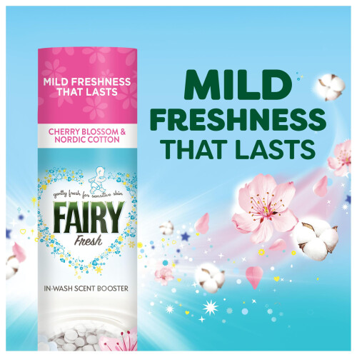 Fairy Fairy In 2