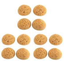 12 Stks Textuur Spons Gipsplaten Textuur Spons Textuur Patch Spons voor Textuur Reparatie DIY Schilderen Plafond (12X9X7 Cm)