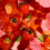 Lipton Berry Bliss Fruit Infusion Herbal Tea Bags - Raspberry, 3