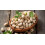 Pistachio Cream Spread - 600g | Creamy & Spreadable, Versatile Paste 5
