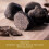 TruffleHunter - Black Truffle Oil - Extra Virgin Olive Oil for 3