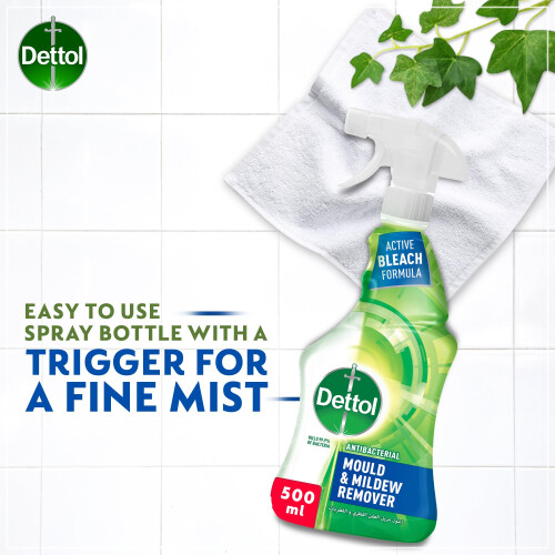 Dettol Dettol Mould & Mildew Remover - 500 2