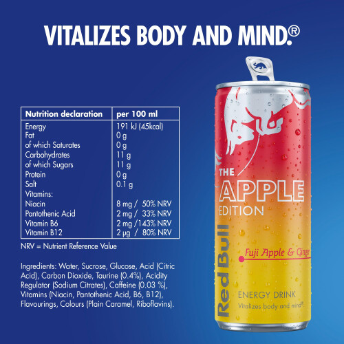 Red Bull Red Bull Winter 2025 Edition 250ml 12pk 2