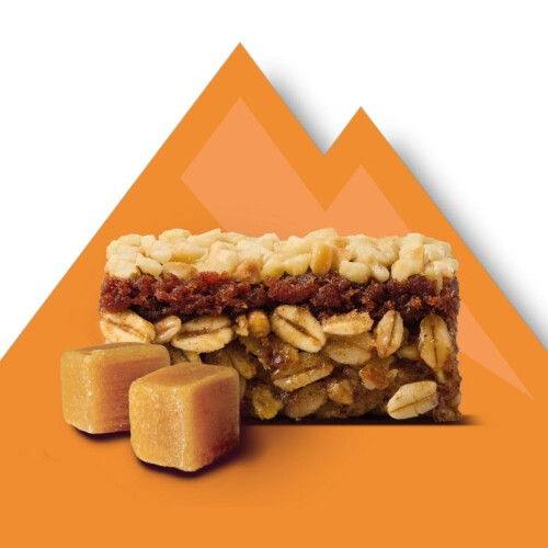 Tribe TRIBE 3 Layered Protein Flapjack - Caramel (12 x 50g) | High Protein 1
