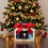 Baileys Gift Set - Original Irish Cream Liqueur, Chocolate, Toffee 3