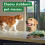 Dettol Dettol Homes With Pets Anibacterial Spray, Fresh Breeze, Multipack Of 5