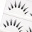 3D Multilayered Bushy Curling False Eyelashes for Wedding Stage Makeup 4