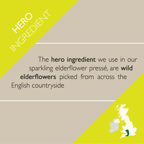 Folkington's Elderflower Soft Drink Pressé, 12 Cans, Gently 2