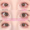 Camellia Universal Top & Bottom Clear Band False Eyelashes, Adhesive Type, Mixed Length 4