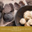 TruffleHunter - Black & White Truffle Oil Set - Extra Virgin Olive 3