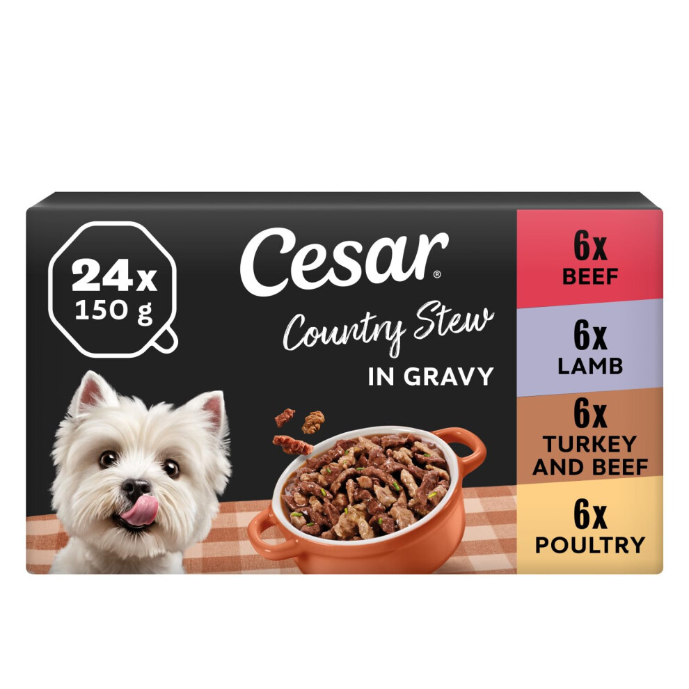 Photos - Bird Food Cesar Country Stew Adult Wet Dog Food, Special Selection, Pack of 3 (3 x 8 Trays 