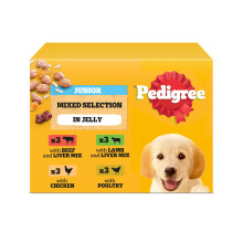 Pedigree Junior Wet Dog Food for Young Dogs and Puppies, 12 Pouches (12 x 100 g)