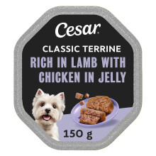 Cesar Classics Terrine - Wet Dog Food for Adult Dogs - Tray with Lamb and Chicken in Jelly - 14 x 150 g