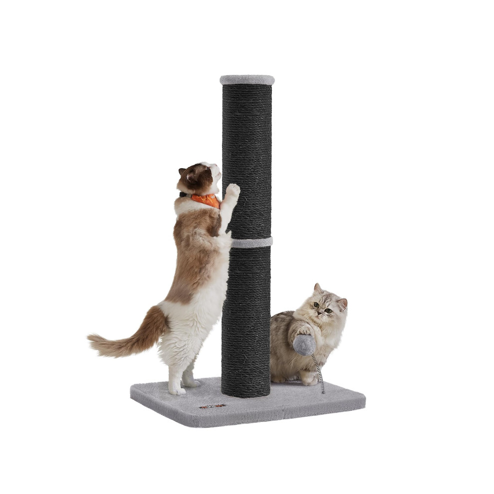 Feandrea Cat Scratching Post, 85 Cm Tall Cat Scratcher For Medium And Large Cats, Furniture Scratching Deterrent Sisal Scratch Pole, Spring Pompom Wi