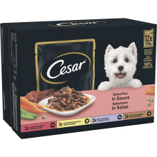 CESAR Pouch Selection in Sauce, Fresh Adult Wet Dog Food Pouches in Delicious Sa