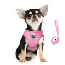 FEimaX Dog Harness and Leash Set, No Pull Adjustable Soft Mesh Puppy Harness for Walking Escape Proof Kitten Step-in Breathable Reflective Vest For S