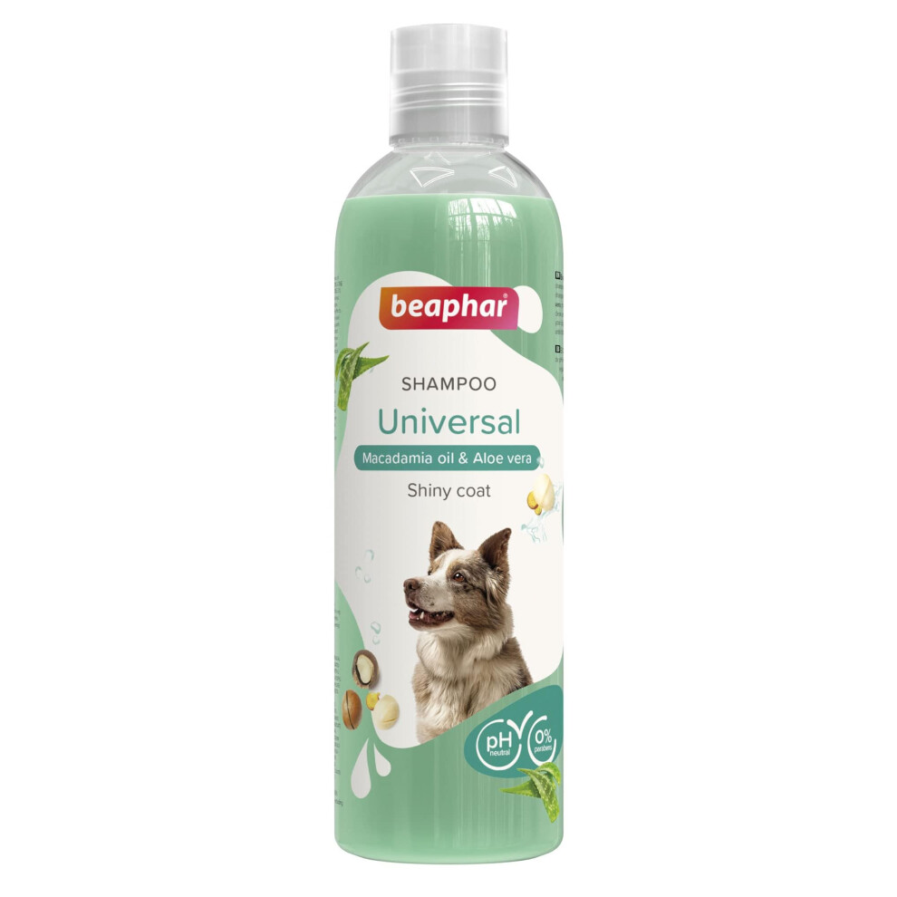 Beaphar - Universal Dog Shampoo 250Ml - Enriched With Macadamia Oil & Aloe Vera - For Dogs Of All Breeds & Sizes - Vegan, Mild & Ph-Neutral For Fresh