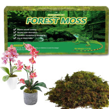 Sphagnum Moss for Plants 5L Terrarium Reptiles Moss Green Dried Peat Moss Habitat Bedding Moss Real Moss Soil Cover for Houseplant and Other Reptiles