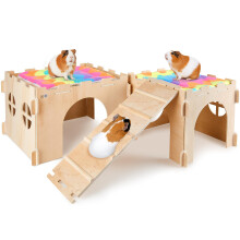 BeBeJoJo Wooden Guinea Pig House, 30x25x20cm, Pine Plywood, Rainbow, 2 Houses with Ramp, Multiple Doors & Windows, Absorbent Mats, Large Ani