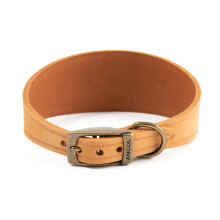 Ancol Timberwolf Leather Greyhound Dog Collar in Mustard - Top Grain Bridle Leather Comfortable Durable Pet Training Accessory - 34-43cm