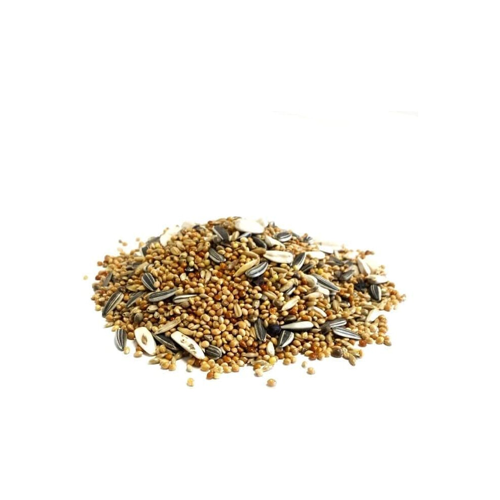 Maltbys' Stores 1904 Ltd 3 Litre (Approx. 1.8Kg) Cockatiel And Parakeet Mixed Seed Cage & Aviary Bird Food 3Lw