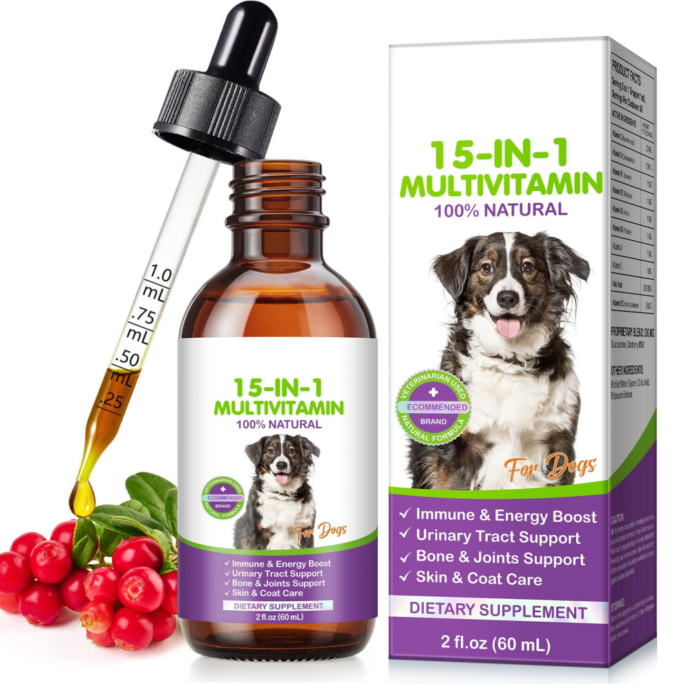 Dachitian Milk Thistle For Dogs | 60Ml Liquid Supplement With Curcumin & Omega-3S | Supports Normal Liver Function, Kidney Health, And Natural Immune Defences