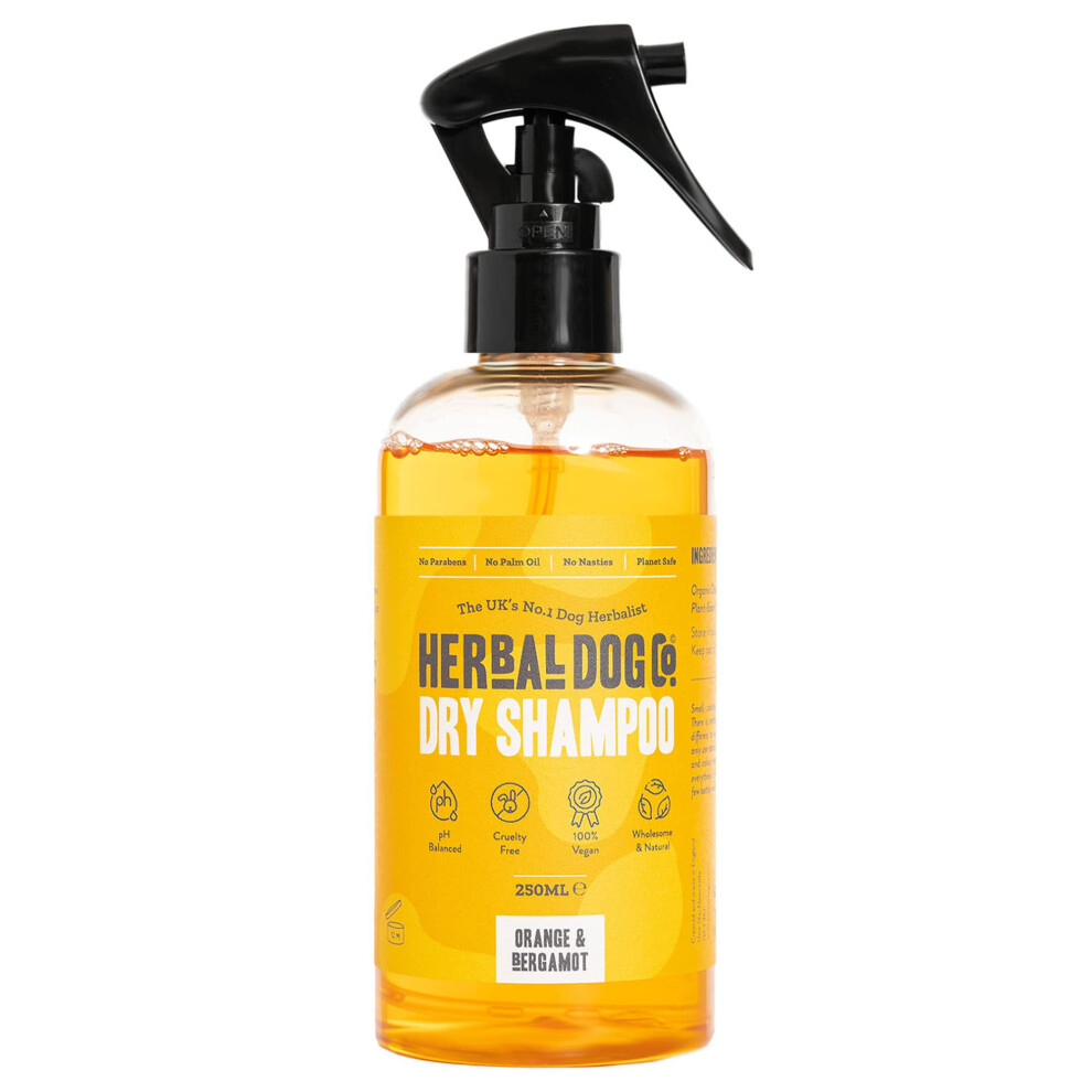 Photos - Hair Product No Rinse Dog Shampoo - Natural Dry Shampoo for Dogs & Puppies - Orange & Bergamot, 250ml - Dog Grooming Perfume & Conditione