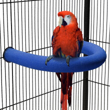 TeTupGa U Shape Parrot Perch Stand Pet Toy Bird Platform Sand Paw Grinding Clean Stick Cage Exercise Conure Budgie Cockatiel Accessories (Blue Large)