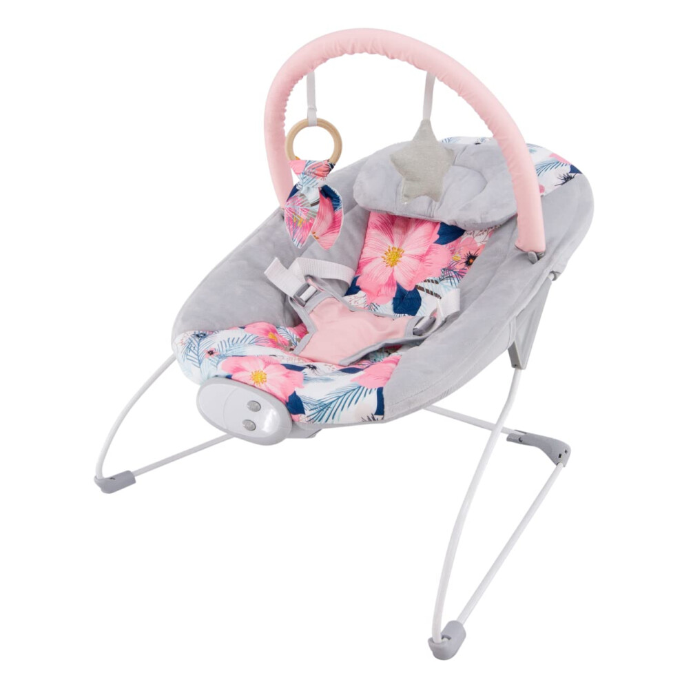 Ladida My First Baby Bouncer With Soothing Music And Vibration, Suitable For Newborns 147