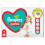 Pampers 7 Pack Popover Baby Bib Bibs White Soft Towelling Unisex Multi Pack 1