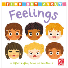 Feelings: A lift-the-flap board book of emotions (Find Out About)