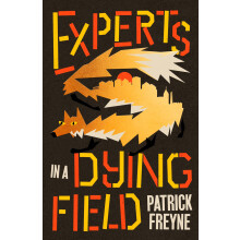Experts in a Dying Field: The funny and moving novel about friendship, secrets, and the alchemy of music