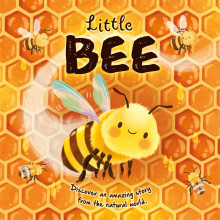 Little Bee (An illustrated story about the life-cycle of a bee)