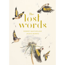 The Lost Words: The bestselling, illustrated nature book – an enchanting read for all ages