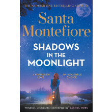 Shadows in the Moonlight: The sensational and devastatingly romantic novel from the number one bestselling author! (Timeslider)