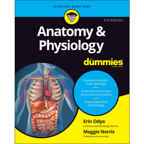 Anatomy and Physiology For Dummies, 3rd Edition