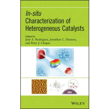 Insitu Characterization of Heterogeneous Catalysts Hardcover Book