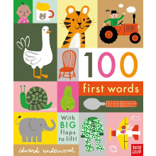 100 First Words: With BIG flaps to lift!: 1
