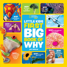 Little Kids First Big Book of Why: Fact-filled fun book with questions and answers about everything (National Geographic Kids)