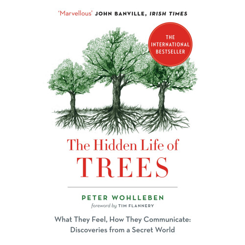 The Hidden Life of Trees