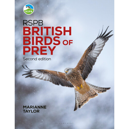 RSPB British Birds of Prey