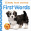 Baby Touch and Feel: First Words 1