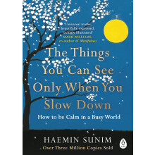 The Things You Can See Only When You Slow Down: Bring calm to your life with the ultimate mindfulness guide from a Buddhist monk