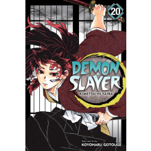 Demon Slayer: Kimetsu no Yaiba, Vol. 20: The Path Of Opening A Steadfast Heart: Volume 20